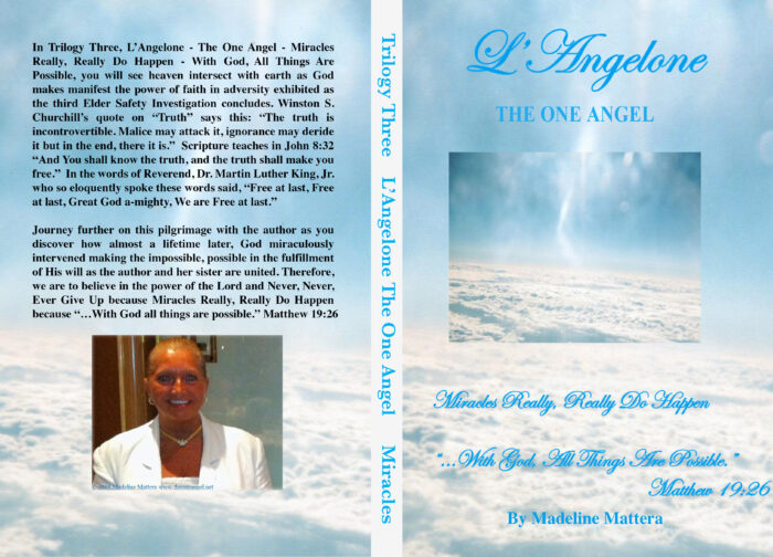 Blue sky book cover titled L'Angelone